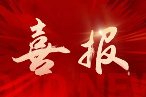 党建引领 赋能发展 | 欢创集团党支部连获市、区两级党建荣誉